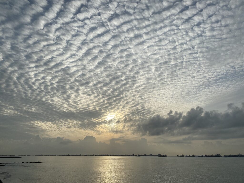 bedokjetty