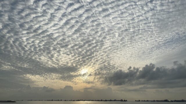 bedokjetty